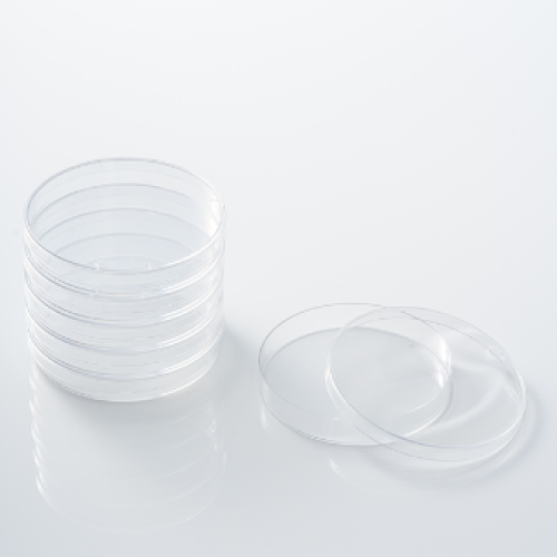 PetriDish (패트리디쉬)